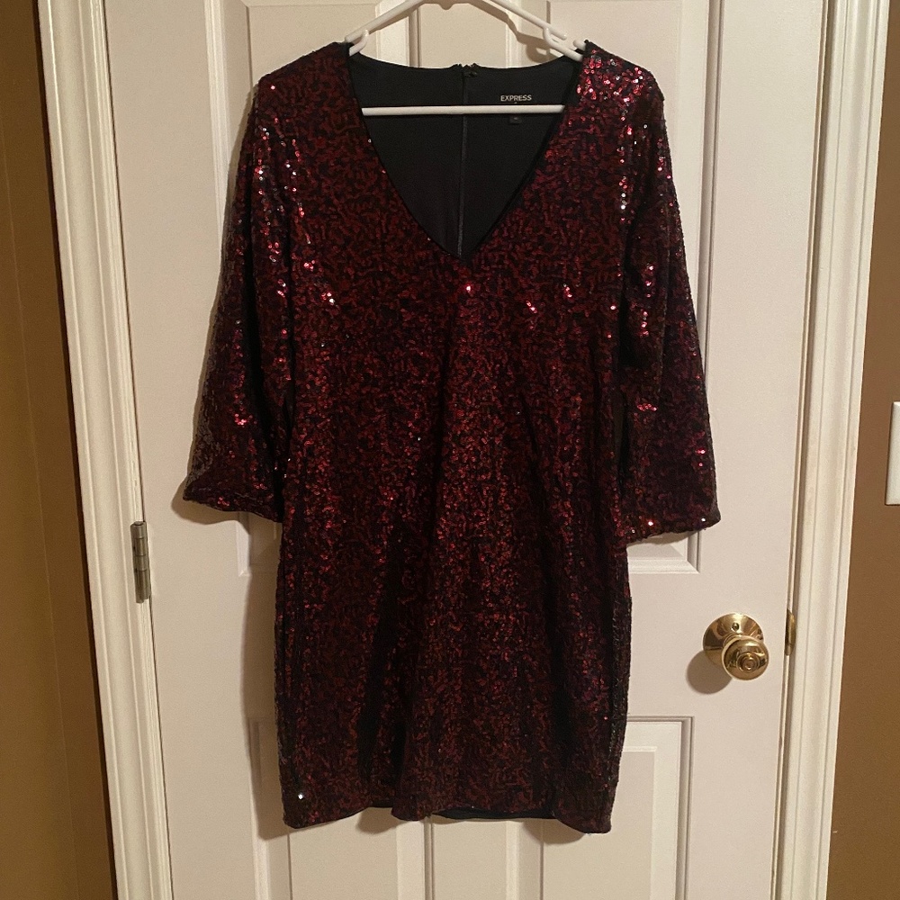 Express Sequins Dress